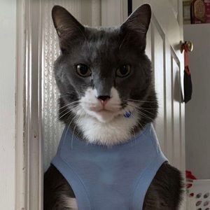 Meet your Posher, Riley